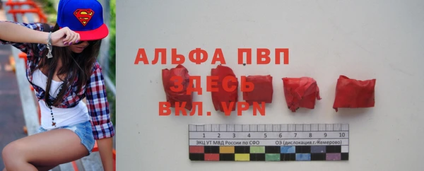 крисы Алексин