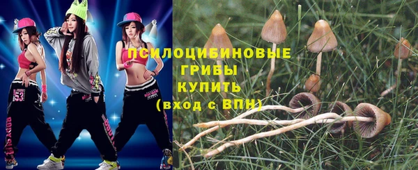 крисы Алексин