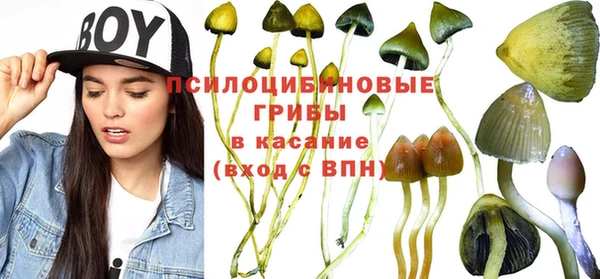 MDMA Premium VHQ Алзамай