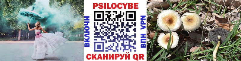 Псилоцибиновые грибы мицелий  OMG вход  Фрязино 